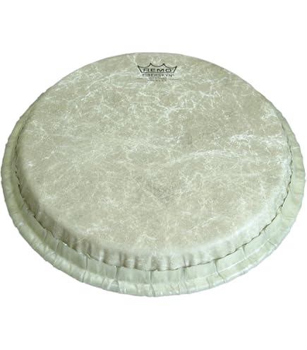 Amazon.com: Remo Conga Drumhead, Symmetry, 10.75